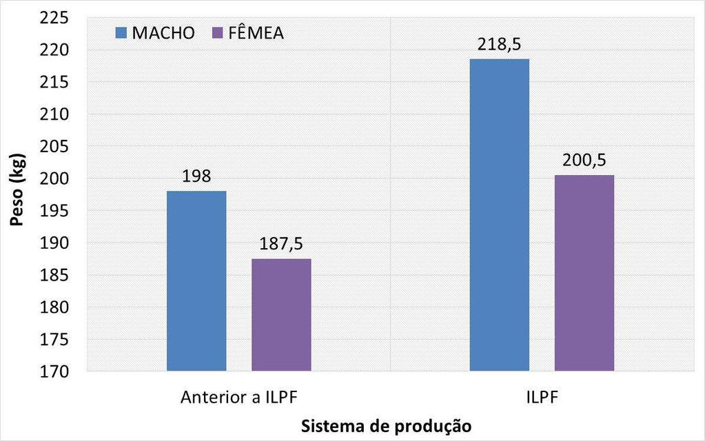 5. Exemplos de