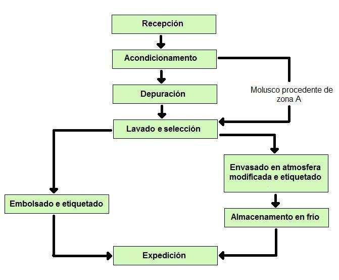 O PROCESO A continuación presentase o diagrama do fluxo de proceso de depuración:.