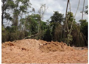 CGAEV e Conselho Gestor do Meio Ambiente COMAM.