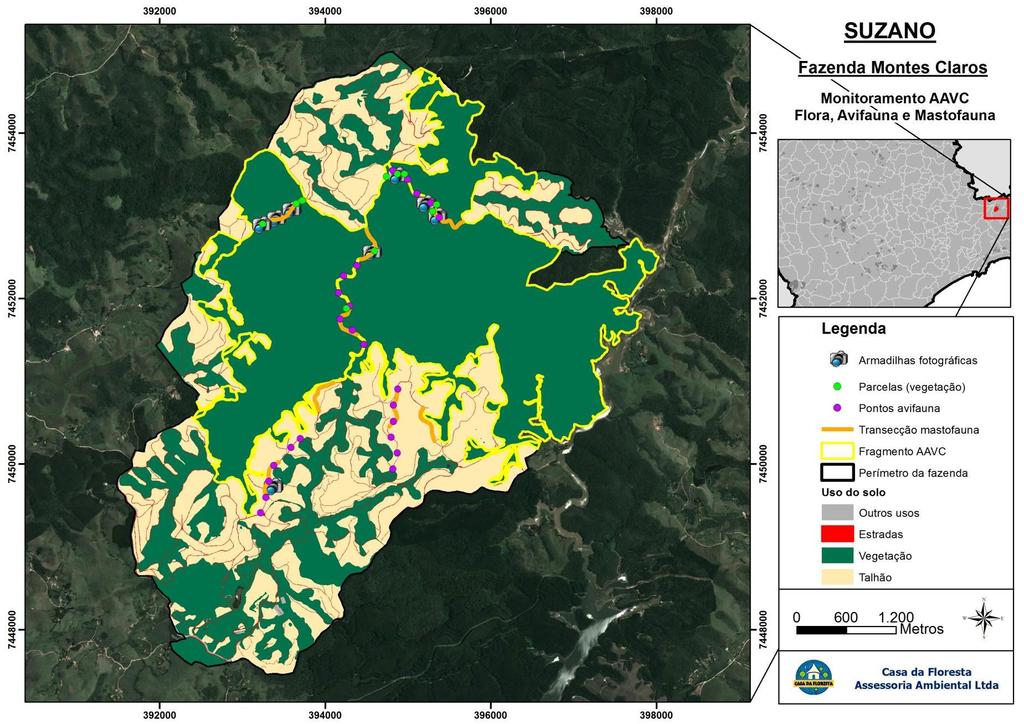 ÁREAS DE ALTO VALOR DE CONSERVAÇÃO UNIDADE FLORESTAL DO MARANHÃO RESUMO PARA CONSULTA PÚBLICA A tabela a seguir resume as