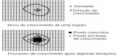 32 com características semelhantes, de acordo com o critério utilizado.