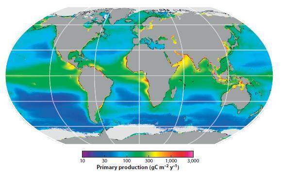14 1 INTRODUÇÃO 1.1 A importância dos estuários no Ciclo Global do Carbono A zona costeira (ZC) é a zona de transição entre o domínio terrestre e o domínio marinho na Terra.