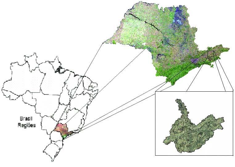 programas de reposição de florestas em áreas degradadas (NREAMP, 2000; PEMBH, 2004; FNMA, 2005).