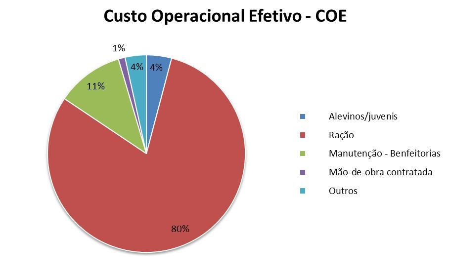 Ográfico aseguirapresentaacomposição ea participação percentual dos itens no Custo Operacional Efetivo típico na região.