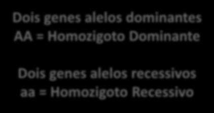 Dois genes alelos dominantes AA = Homozigoto Dominante Dois genes alelos
