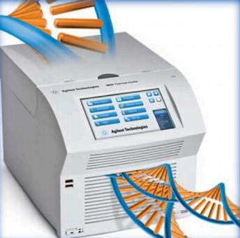 O que é a PCR Polymerase Chain Reaction?