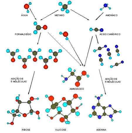 O experimento de Miller e Urey Com esse experimento, após uma semana, o jovem cientista conseguiu obter pequenas moléculas que, ao