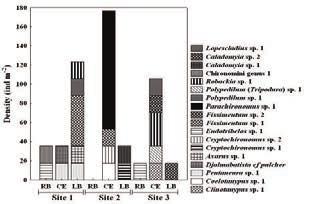 152 Vieira et al. Some taxa, such as Endotribelos sp. 1, Robackia and Polypedilum, were recorded at sites 1 and 3 (Figure 5). Globally, 11 subfamilies of Chironomidae are known (FERRINGTON, 2008).