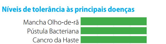 Pontos fortes Potencial produtivo e estabilidade