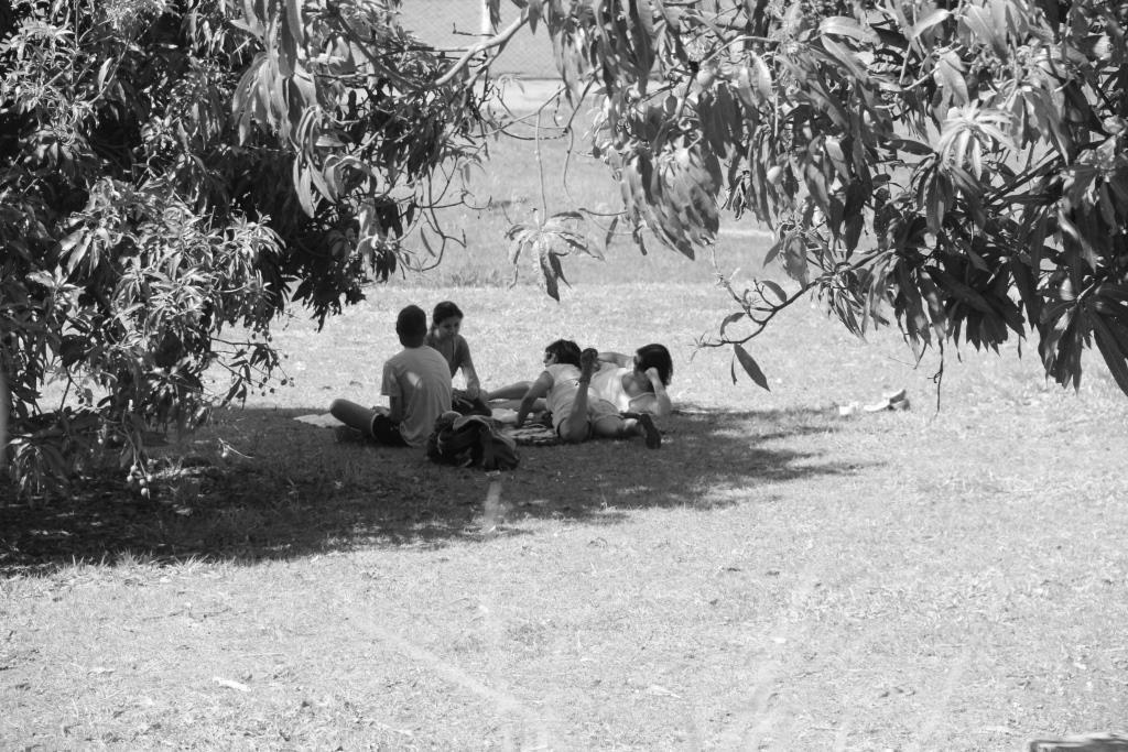 116 FIGURA 1. Frequentadores do Parque do Sabiá descansando em frente à lagoa principal. Uberlândia/MG, setembro 2011. Foto: M. Nagoa. A prevalência de A.