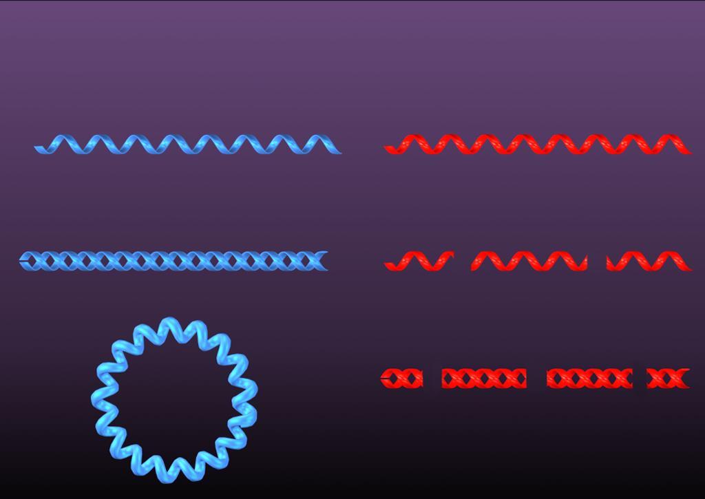 DNA Fita simples + ou - RNA Fita dupla