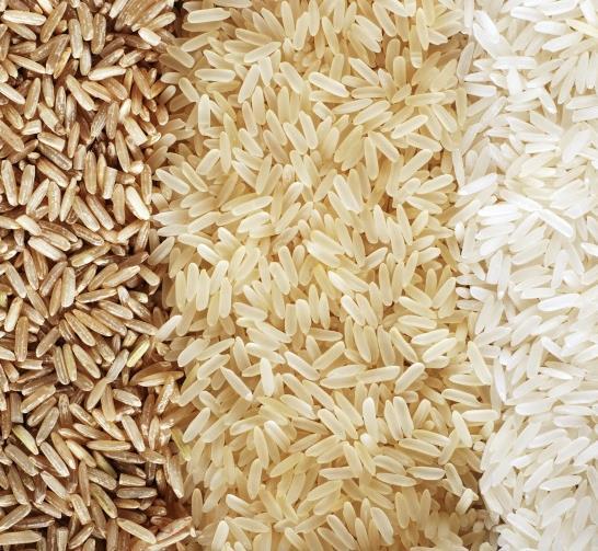 Citam-se alguns: trigo, arroz, cevada, milho, sorgo, quinoa, aveia, triticale.