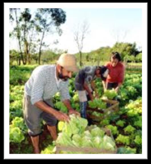 Agricultura Familiar Economia Solidária