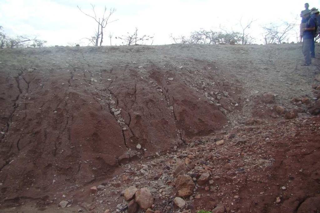 2 Afloramento fossilífero, localizado em Puiú, município de Ibimirim (PE).