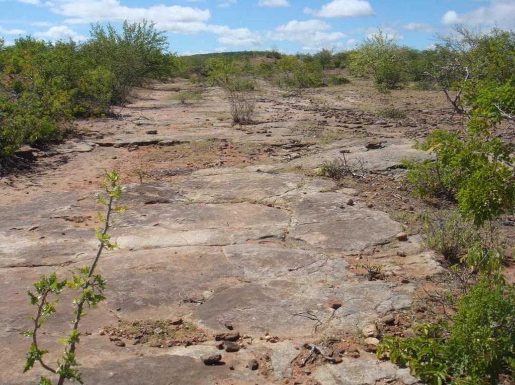 5 Afloramento fossilífero, localizado em Riacho do Saco do Machado, município de Tacaratu (PE).