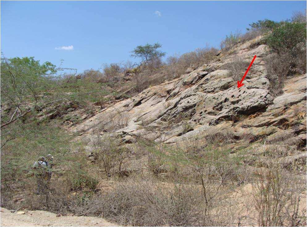 Paleovertebrados da Formação Aliança, Jurássico Superior da Bacia de Jatobá, Nordeste do Brasil 27 2001; Costa et al., 2007).