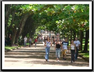 Análise do efeito de