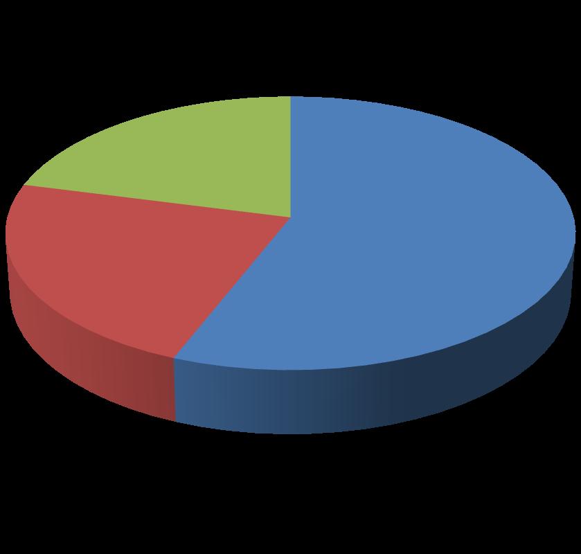 Internações SADT Consultas 1 Trimestre/12 23% 21% 56% 44% 16%