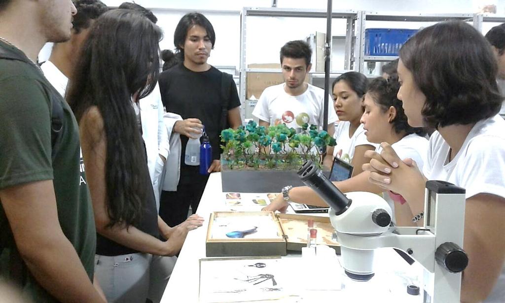 Figura 2. Feira expositiva interativa, ecozoobotânica, na universidade da amazônia UNAMA.