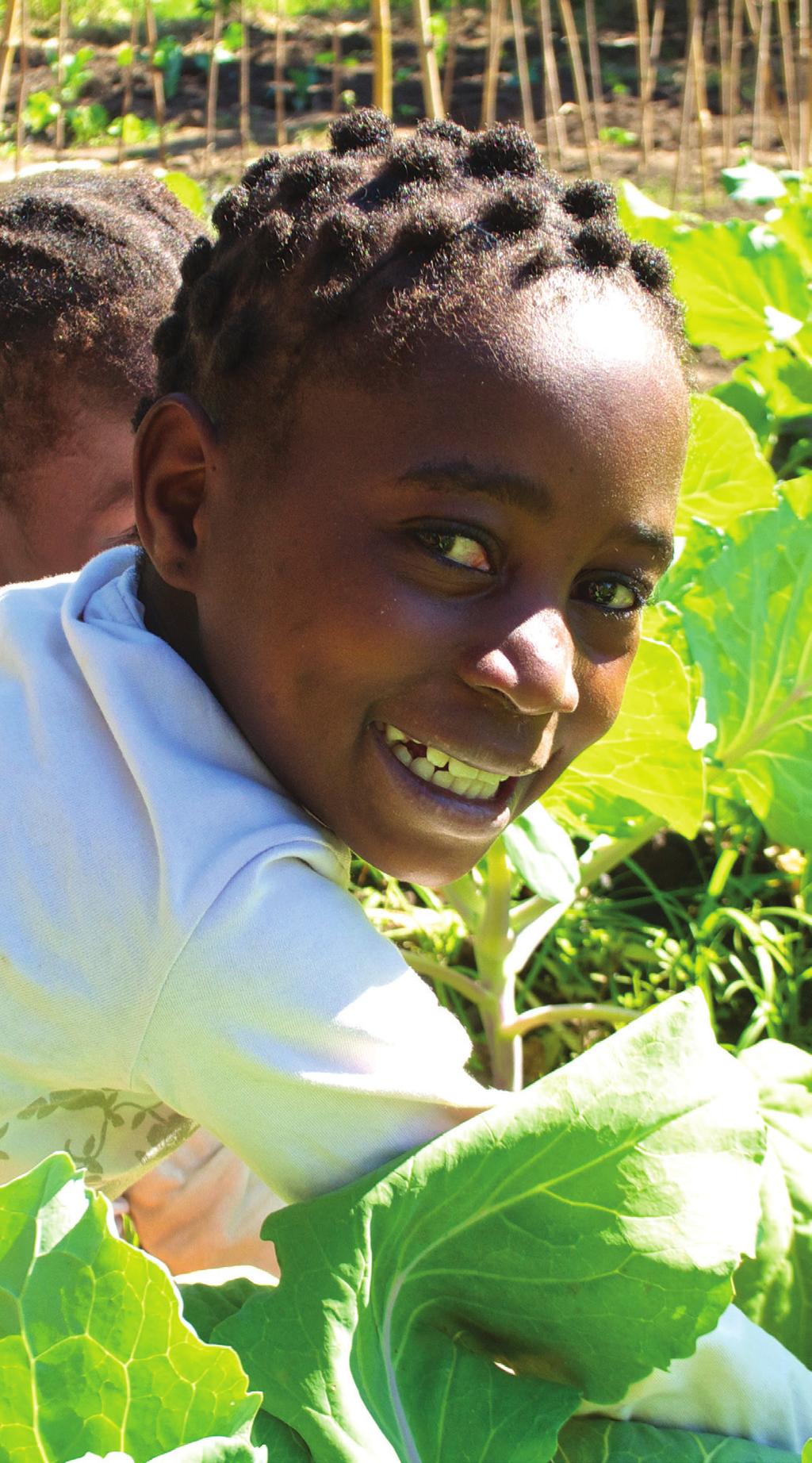Hortas escolares beneficiam 18.497 crianças 3 O estabelecimento das hortas escolares constitui uma componente importante do Projecto Comida Pelo Saber.