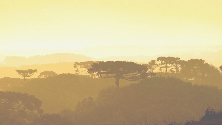 CLIMA A temperatura média da região sul do brasil anualmente é entre 16 e 22 C.