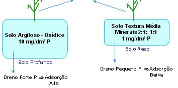 Algumas Considerações Práticas A