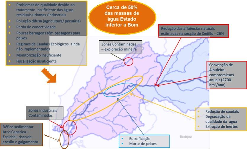 2. Identificação da