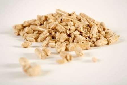 WOOD PELLETS Vantagens Econômicas no uso de pellets A matéria-prima para a produção de pellets apresenta uma grande disponibilidade e versatilidade.
