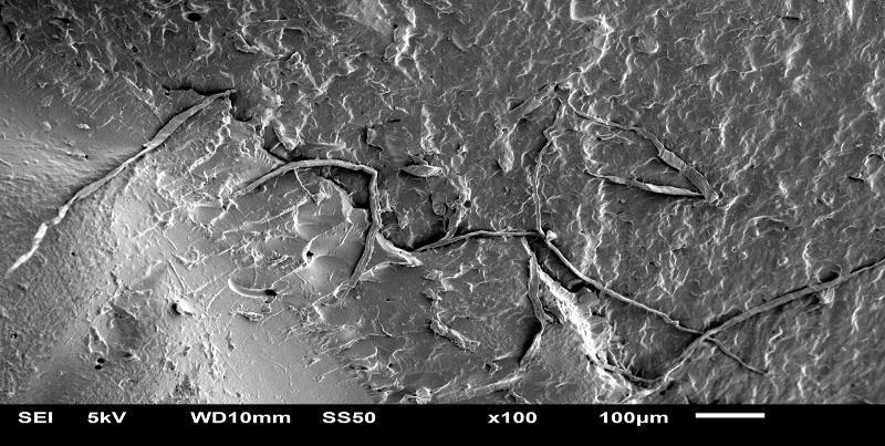 aos Lam 10, Lam 20 e Lam 30, onde é possível observar a presença da fibra têxtil na matriz de PVC, aparentemente sem nenhum tipo de interação química.