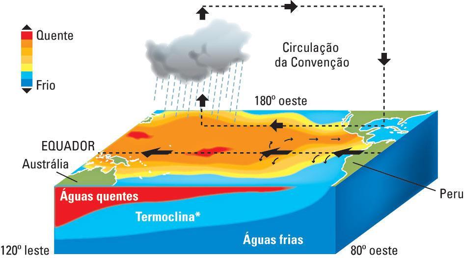 TERMOCLINA Variação brusca de temperatura em uma determinada profundidade do mar; Baixas e médias latitudes: abaixo da camada superficial, encontra-se uma camada onde a temperatura decresce conforme