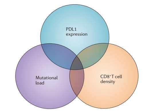 MULTIFACTORIAL BIOMARKERS OF CLINICAL RESPONSE TO
