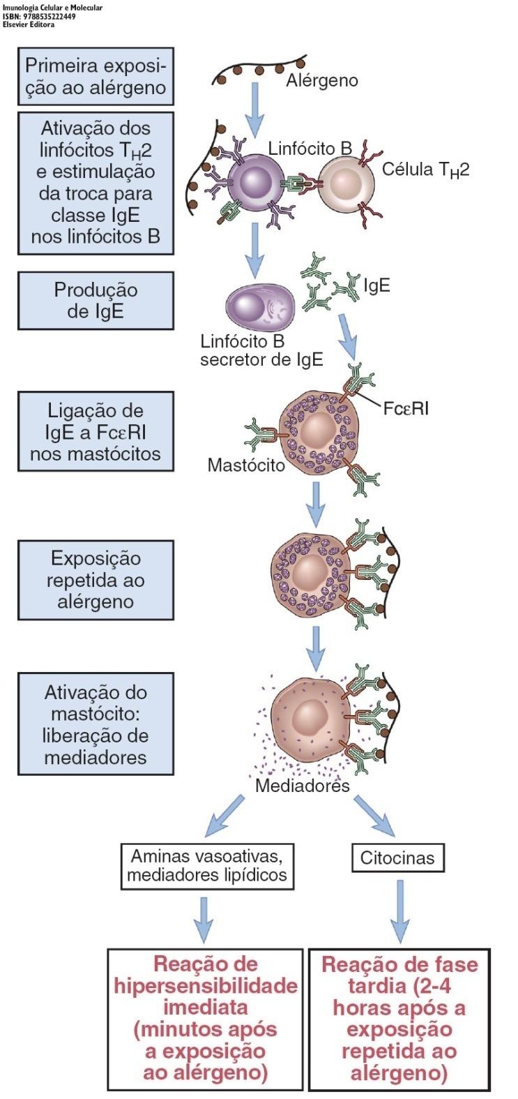 Ativação