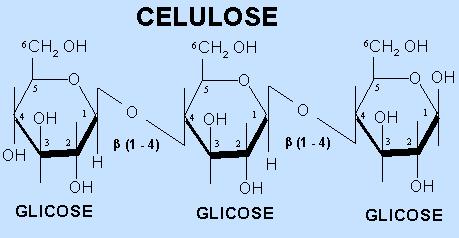 Polissacarídeos mais de 80 monossacarídeos ligações glicosídicas Os mais abundantes são os polímeros de glicose, como o amido, a celulose e o glicogênio.