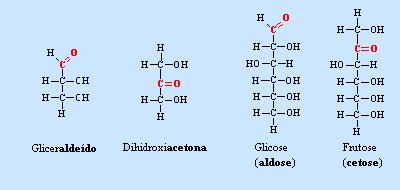 Monossacarídeos: tipo mais simples - uma unidade de poliidroxialdeído ou poliidroxicetona - não hidrolizáveis, sabor adocicado, não ramificados, solúveis Monossacarídeos podem conter de 3 a 7