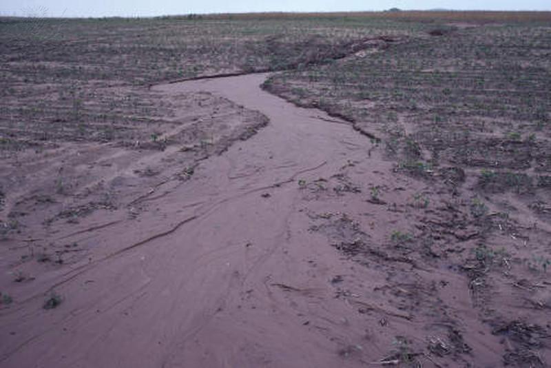 Erosão Pluvial A erosão pluvial é realizada pela água da chuva.