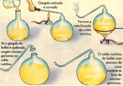 Origem da vida Louis Pasteur(1822-1895) Experiência nos Alpes Pasteur Levou frascos de vidro fechados completamente contendo caldo nutritivo até as altitudes dos Alpes Abriu os frascos para que os