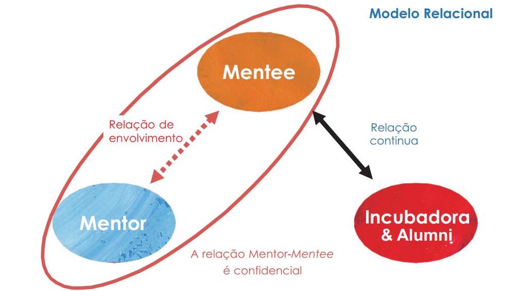 5 FASES DO PROGRAMA O programa tem duração média de 1 ano e divide-se nas seguintes etapas Seleção dos Participantes Workshop de Sensibilização e Integração