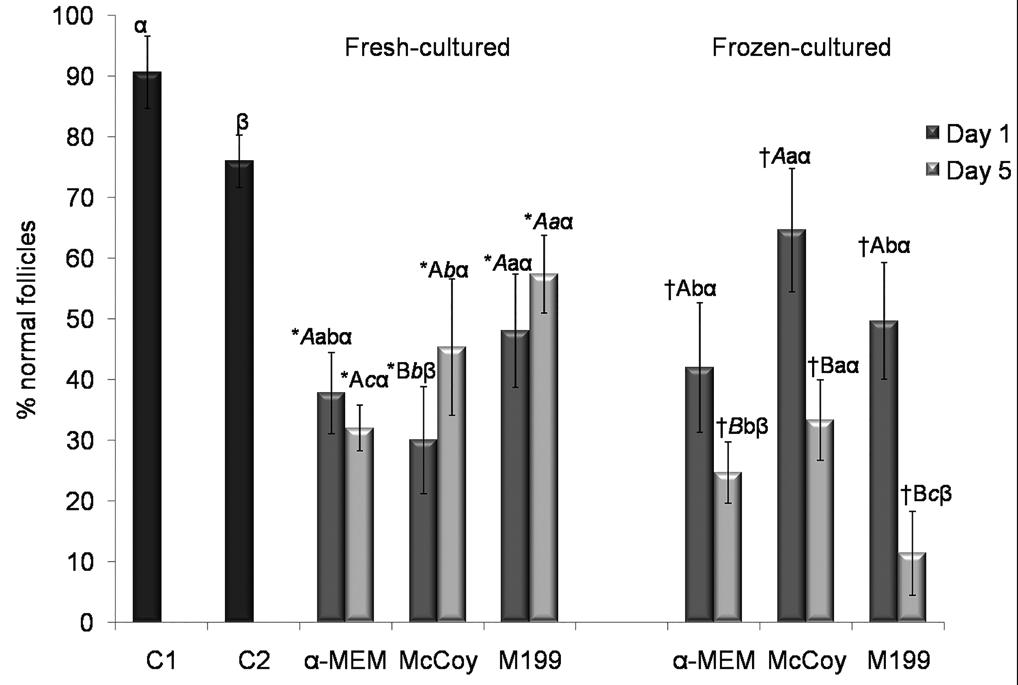 91 The percentage of morphologically normal follicles observed in fresh-cultured ovarian tissues in M199 medium was higher than that in McCoy at day 1, and was also higher in M199 than the other two