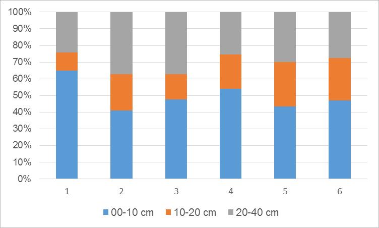 perfil do vaso. FIGURA 5 Volume de raiz (dm -3 ) em cada uma das camadas de 0 à 10, 10 à 20 e 20 à 40 cm. Fonte: Medeiros, 2014.