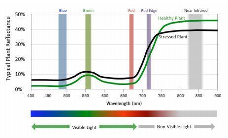 As Plantas em Processo de Fotossíntese irradiam cores no espectro do infravermelho próximo, através da construção de índices em razão da radiação e espectro de ondas conseguimos definir a Saúde da