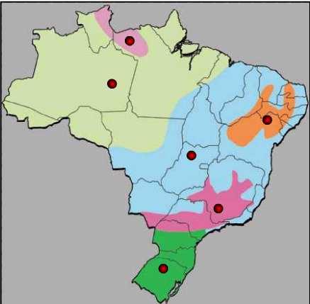 Distribuição climática Equatorial Equatorial