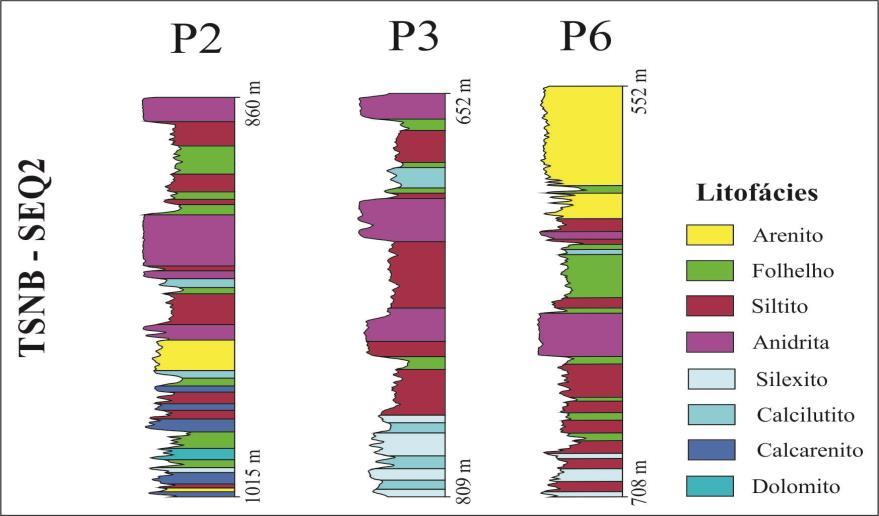 removidos durante o episódio de erosão relacionada à geração da discordância-limite superior desta sequência. Figura 12. Perfil litofaciológico dos poços P1, P3 e P5, compreendendo o TSRF da SEQ1.