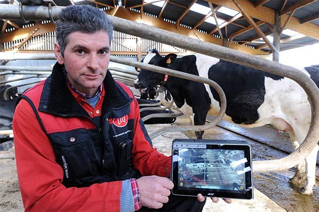 French breeder Jean-Pierre Dufeu shows on his tablet device, the live feed from the video surveillance cameras set up in his stable, as