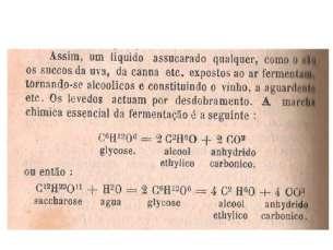 Figura 5 Fórmulas e reações químicas. Elementos de Botânica, Werneck, 1932, p. 348. Acervo pessoal.