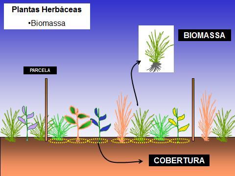 Recursos /