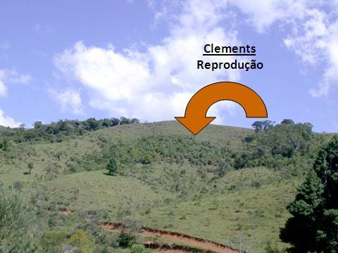 Unidades básicas da Natureza