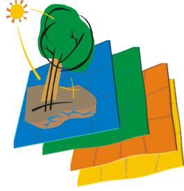 Elementos Químicos em Folhas de Árvores na Mata Atlântica (Projeto Parcelas Permanentes) BM = Bathysa meridionalis, CI = Chrysophyllum inornatum, EC = Eugenia cuprea, EE =