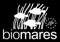 , Assis J., Franco G., Caselle J. E., Erzini K., Henriques M. & Gonçalves E.J. (214). Tropicalization of fish assemblages at temperate biogeographic transition zones.