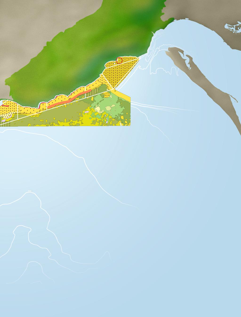 A região do Parque Marinho Professor Luiz Saldanha foi um refúgio onde estas espécies persistiram nos últimos milhares de anos, acumulando elevada diversidade genética, bem diferenciada das