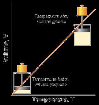 As leis dos gases Relação temperatura-volume: lei de Charles V = constante T P = constante T Uma expressão semelhante resume a variação da pressão de uma amostra de um gás
